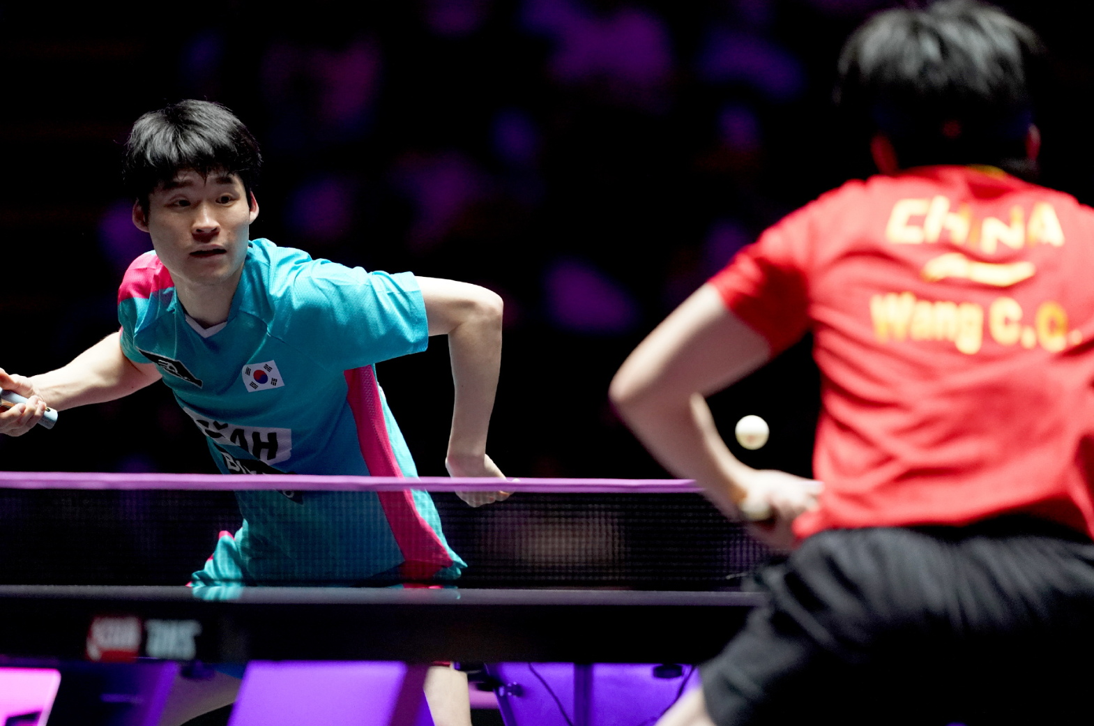 张禹珍似乎, rom 张禹珍似乎, rom