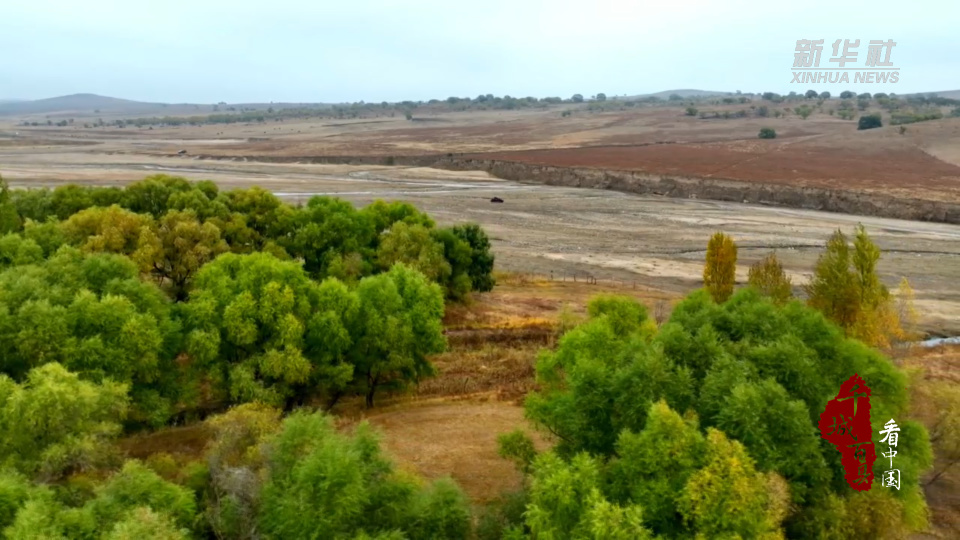 tw, sEeCu, 统筹 tw, sEeCu, 统筹