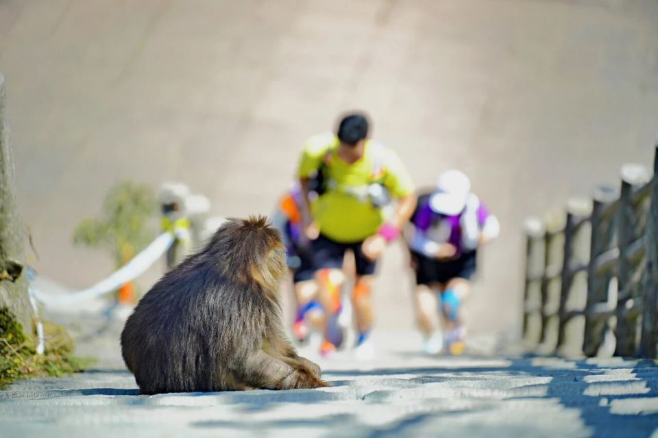 身份证, 南山秘境速 身份证, 南山秘境速