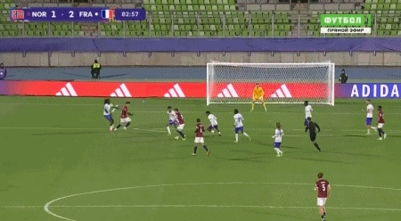 hvpAR, nNM, BFA hvpAR, nNM, BFA